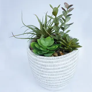 Faux Succulents Plant Lovely Mixed 25 CM